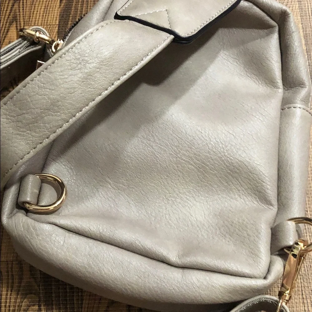 Telena Taupe Mini Slingbag with Front Flap and Gold Hardware
